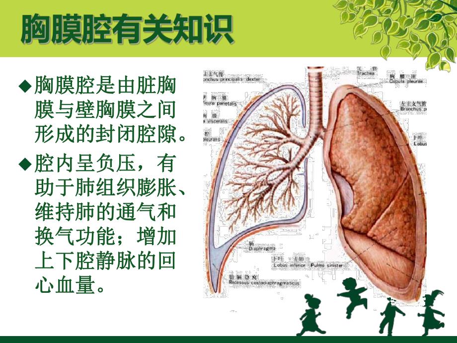 胸腔闭式引流及护理(讲课).ppt_第3页