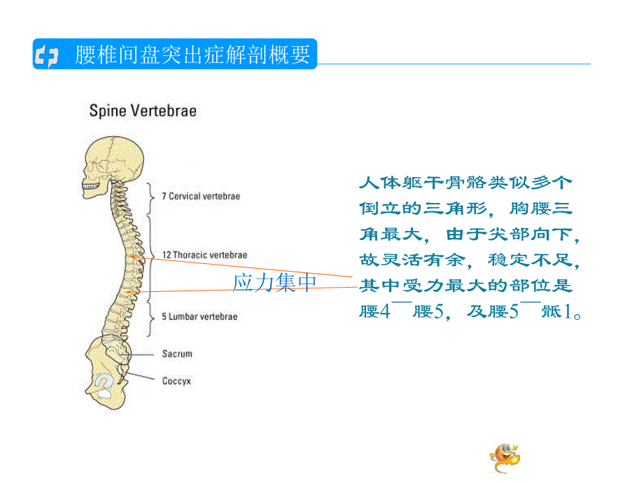 腰椎间盘突出的护理查房1.ppt_第1页