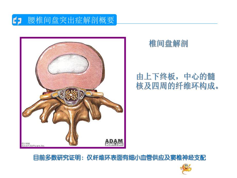 腰椎间盘突出的护理查房1.ppt_第2页