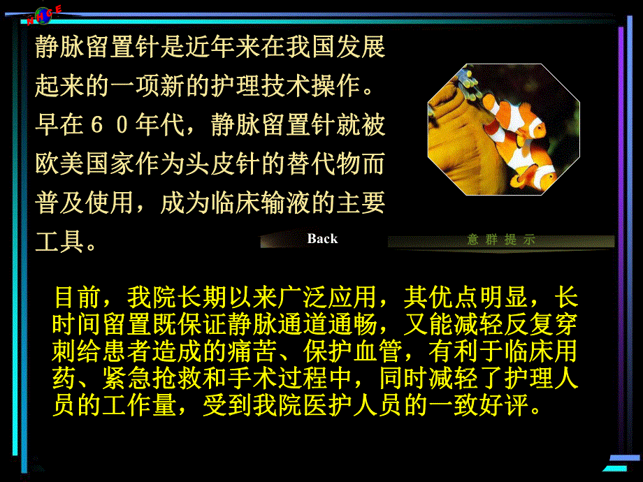 静脉留置针的操作流程及护理.ppt_第2页