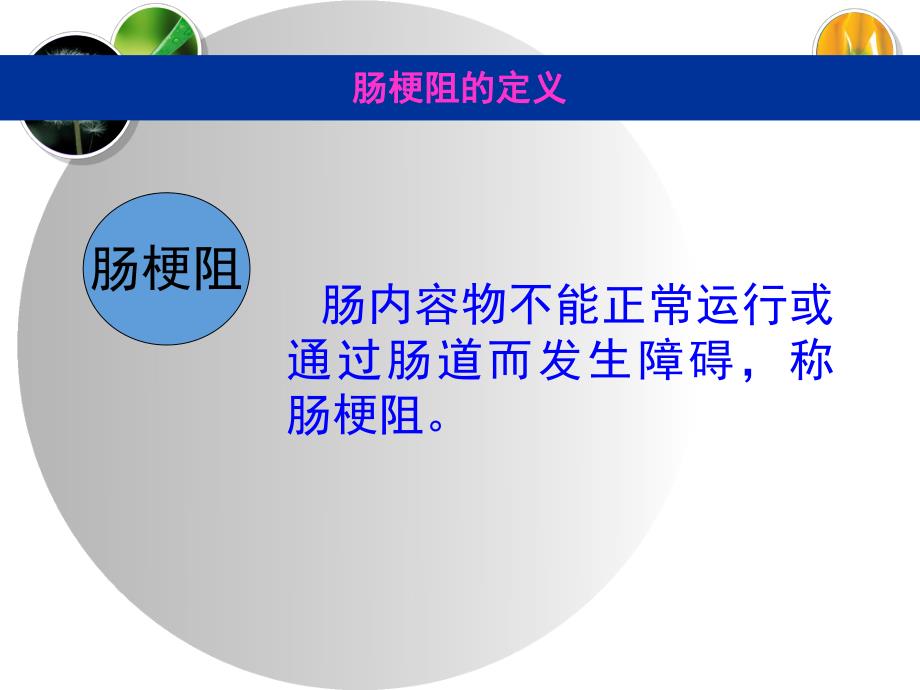 肠梗阻病人的护理.ppt_第2页