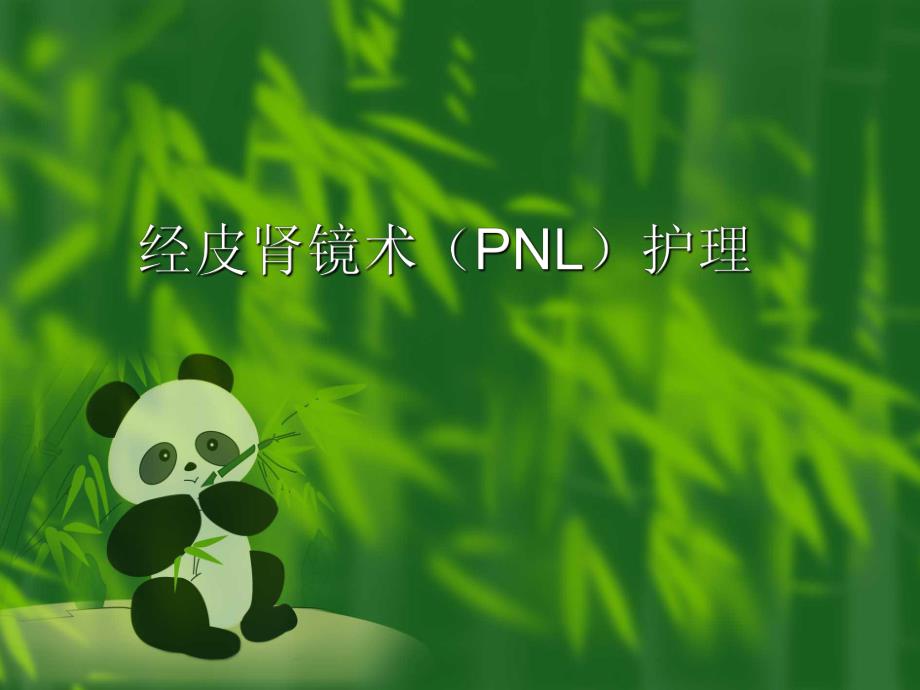 经皮肾镜碎石术护理.ppt_第1页