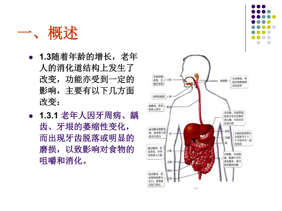 老人饮食护理.ppt_第3页