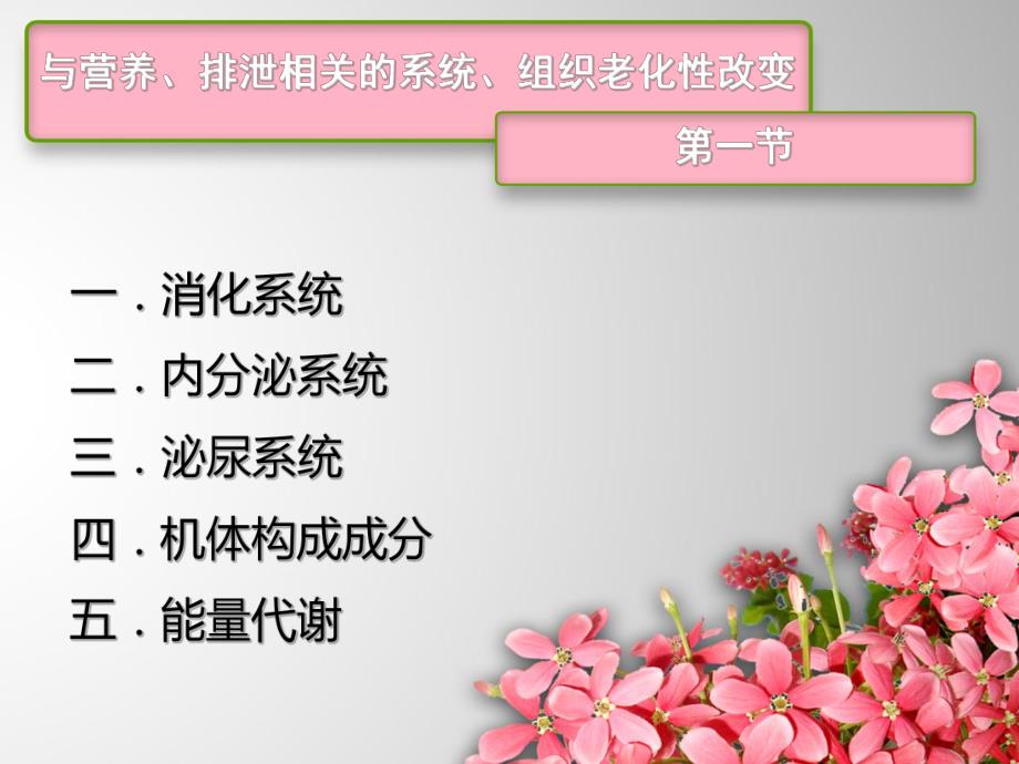 老护理第四章老人营养与排泄的护理.ppt_第2页