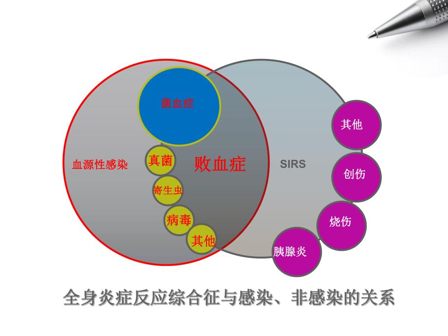 脓毒血症的护理.ppt_第3页