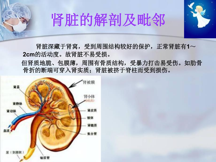 肾损伤病人的护理ppt.ppt_第3页