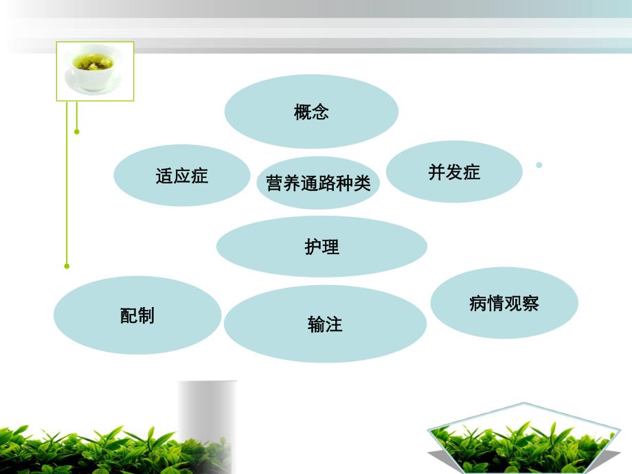 肠内肠外营养护理.ppt_第2页