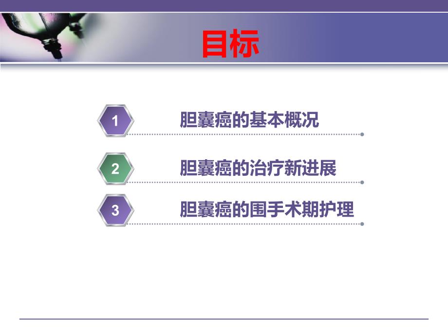 胆囊癌治疗及护理.ppt_第2页