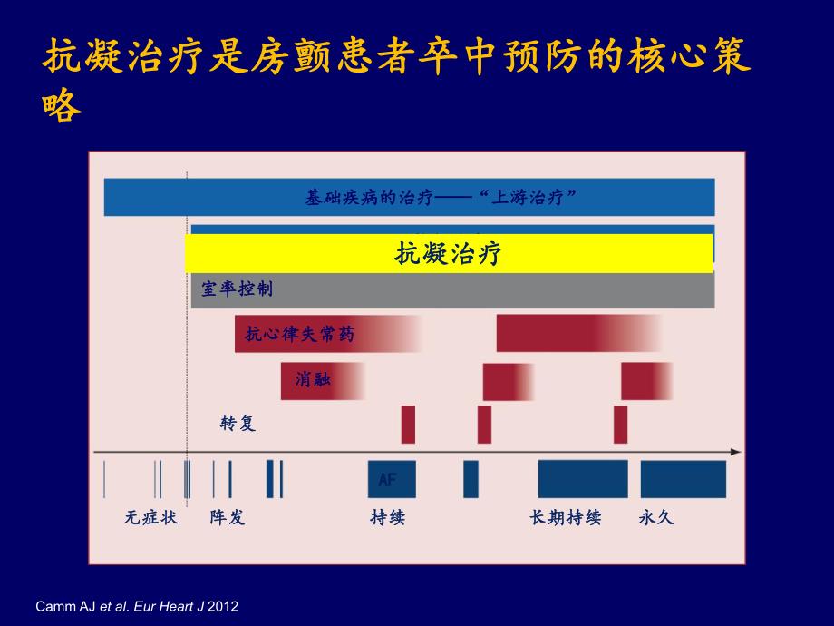 房颤抗凝治疗指南解读.ppt_第3页