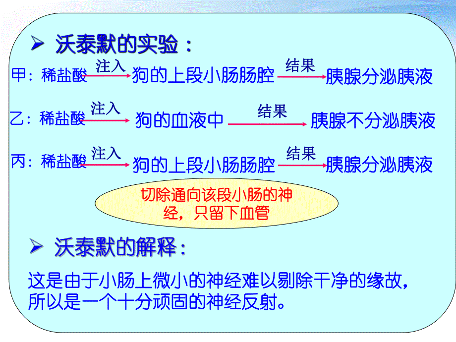 2.2通过激素的调节.ppt_第2页