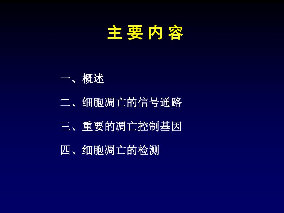 细胞凋亡.ppt.ppt_第2页