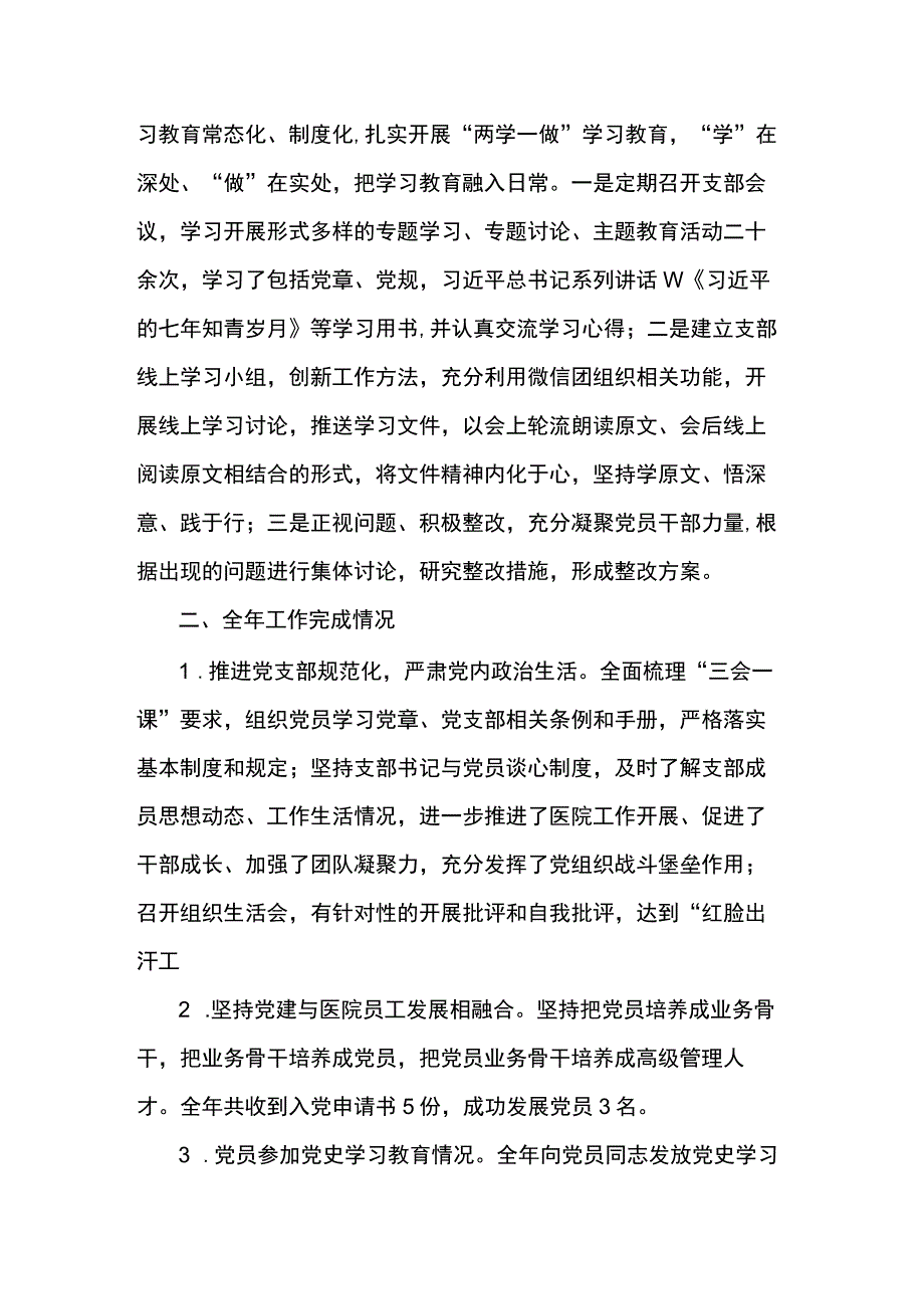医院党支部工作总结.docx_第2页