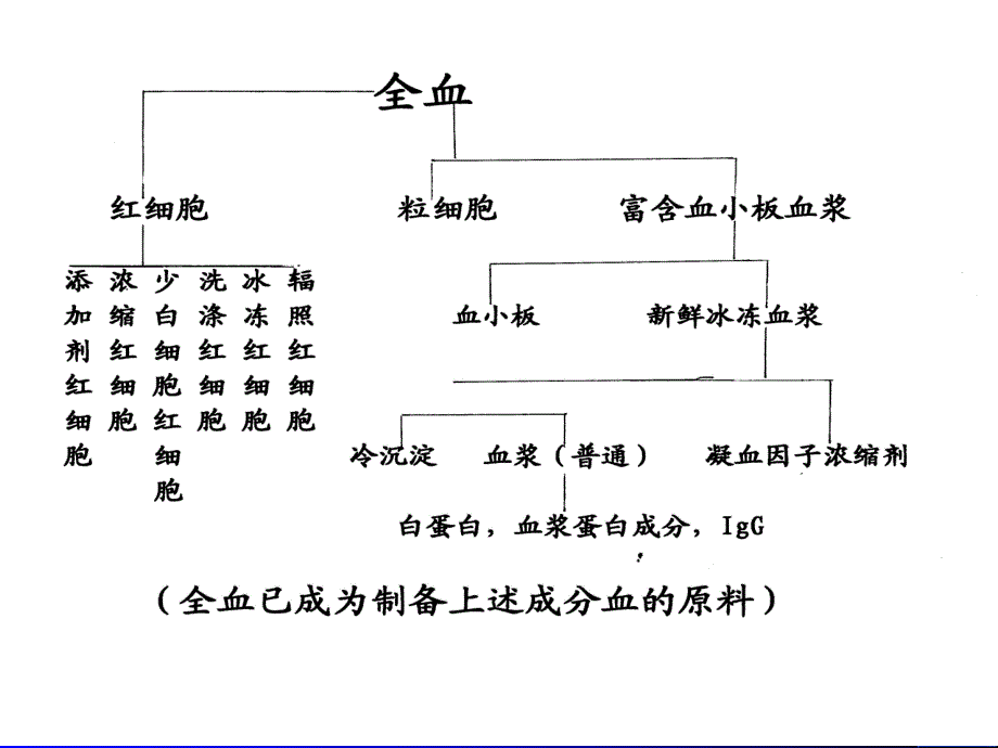 【医学课件大全】成分输血.ppt_第3页