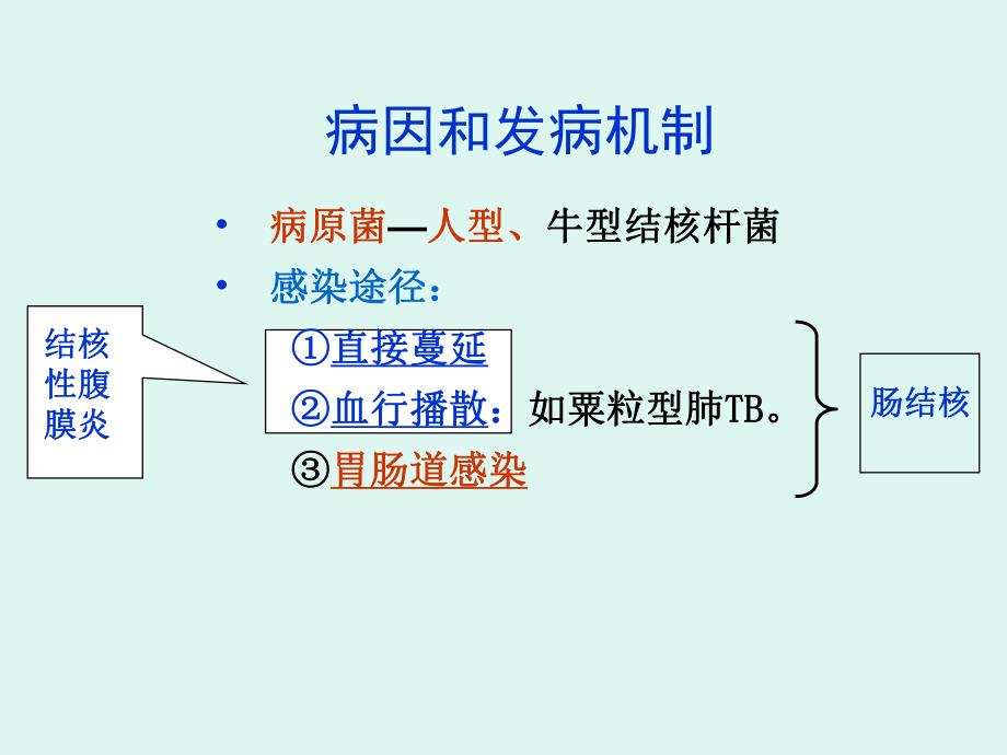 4肠结核及结核性腹膜炎.ppt.ppt_第3页