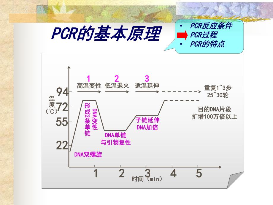 PCR的临床应用知识.ppt_第2页