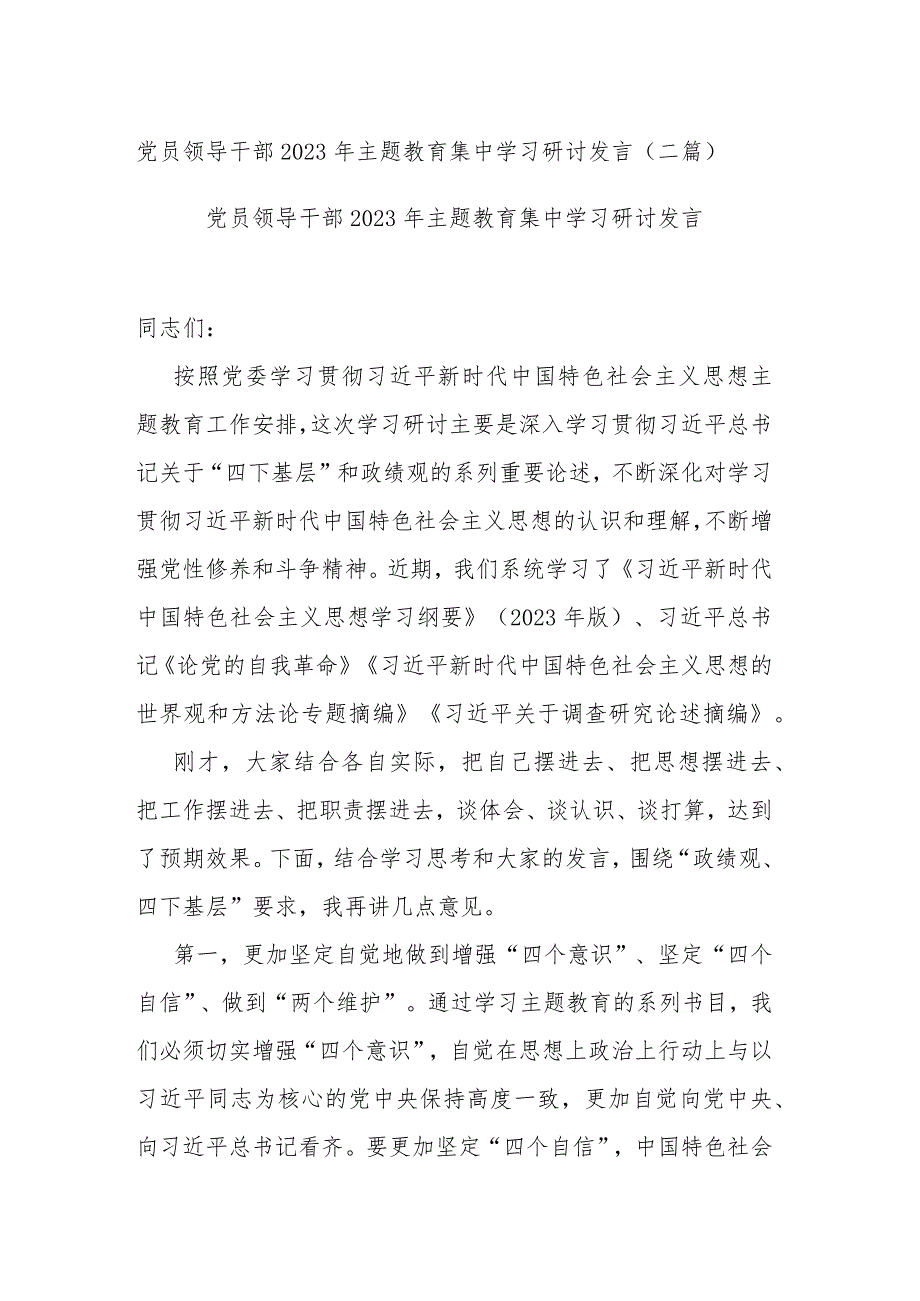 党员领导干部2023年主题教育集中学习研讨发言(二篇).docx_第1页