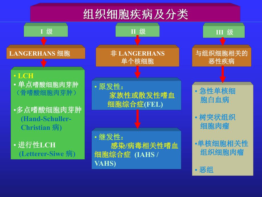 郎格罕细胞组织细胞增生症.ppt_第3页