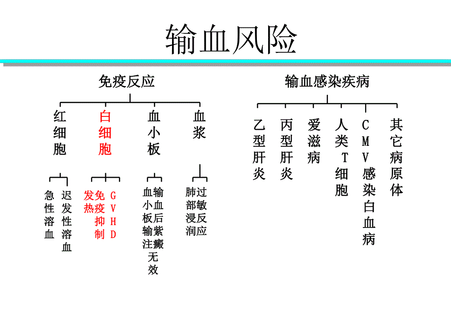 去白细胞滤器血袋全血型.ppt_第2页