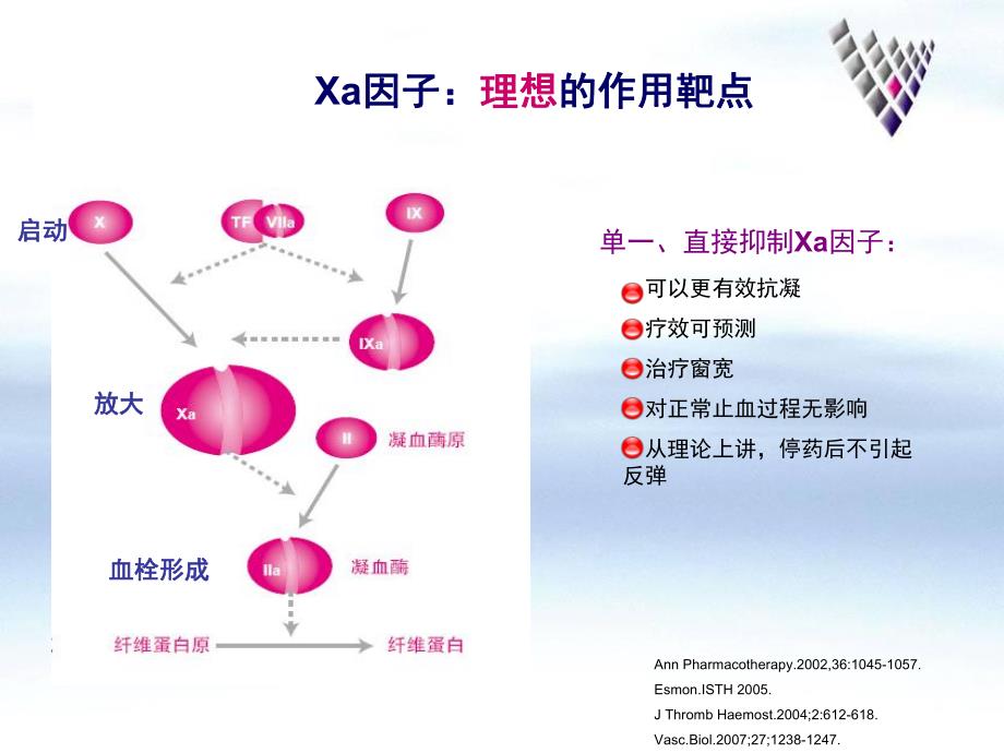 拜瑞妥抗凝血.ppt_第3页