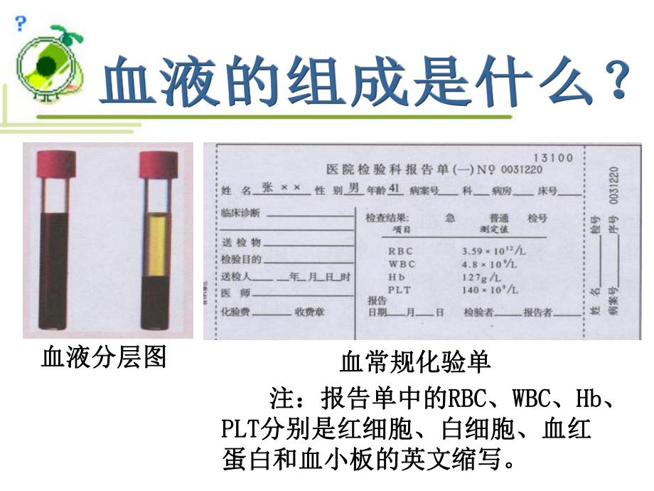 流动的组织血液.ppt_第3页