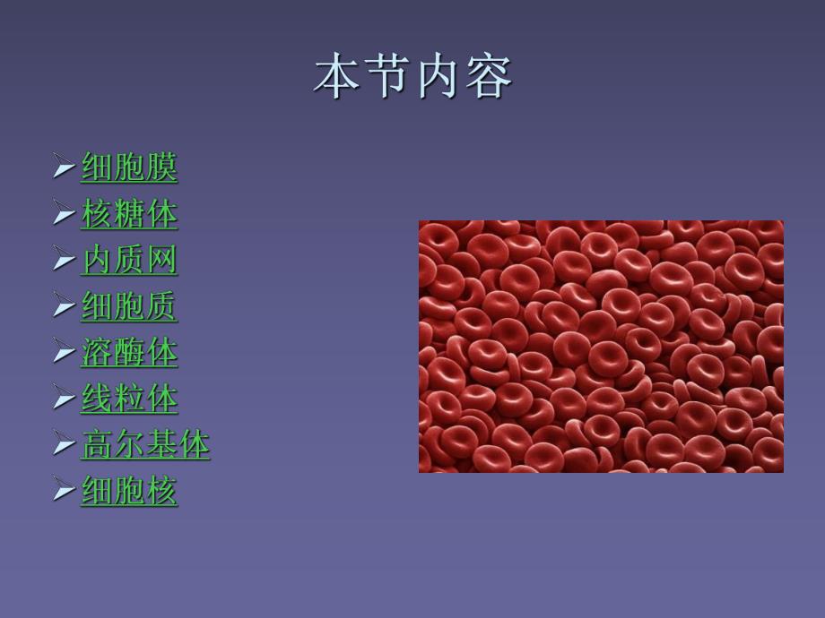 细胞结构.ppt_第3页