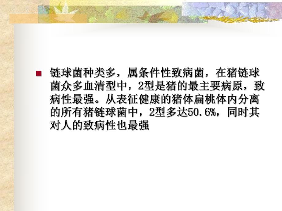 猪链球菌病及其防控.ppt_第3页