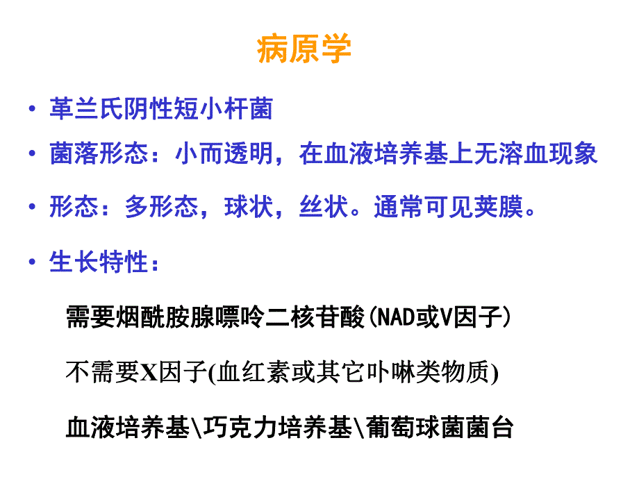 副猪嗜血杆菌病13.ppt_第3页