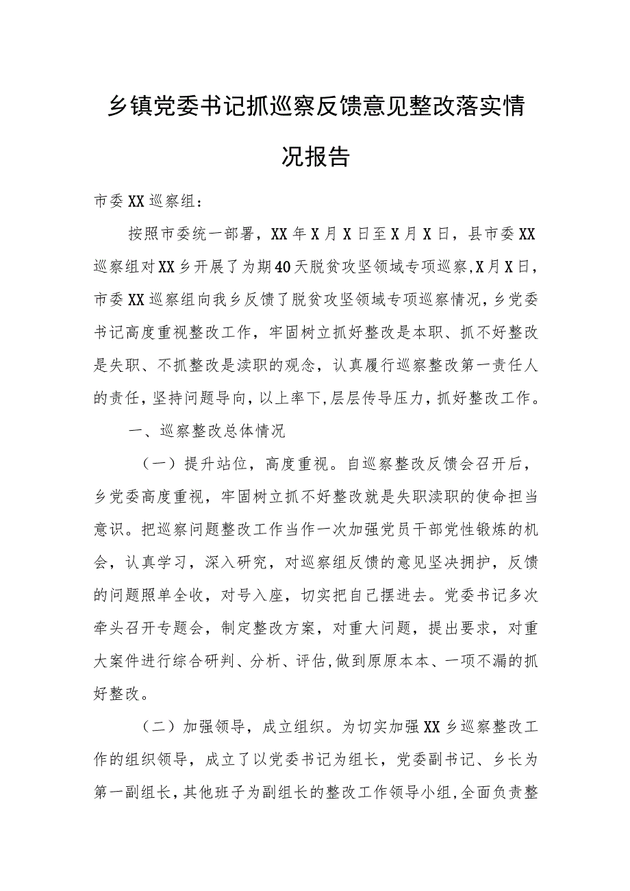 乡镇党委书记抓巡察反馈意见整改落实情况报告.docx_第1页