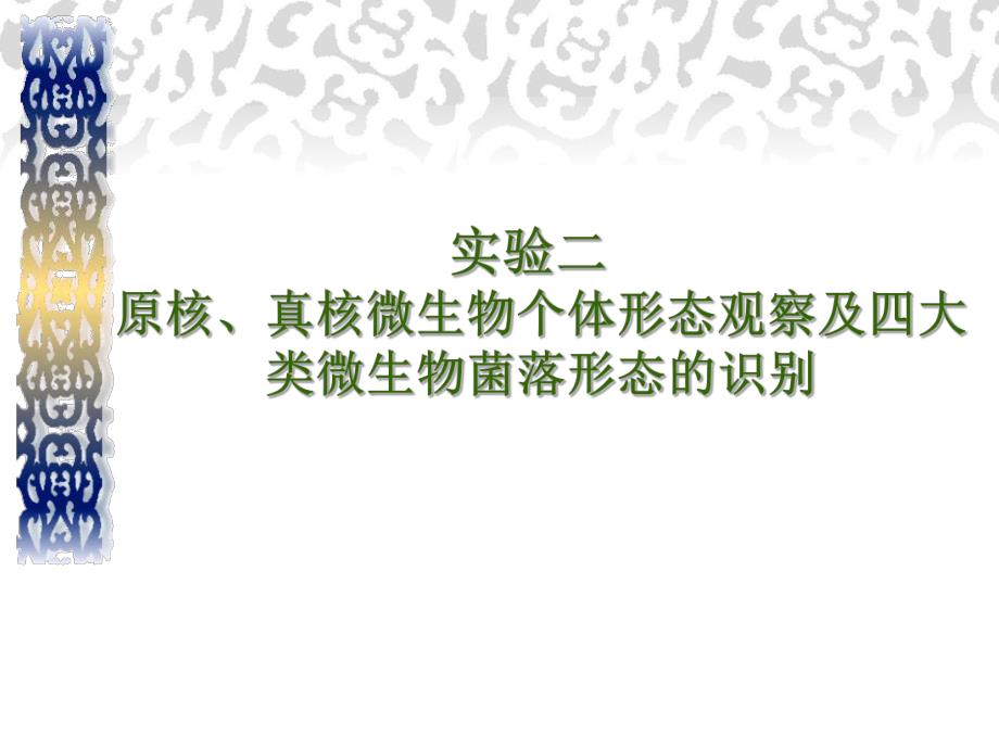 原核、真核微生物个体形态观察及四大类微生物菌落形态的识别.ppt_第1页