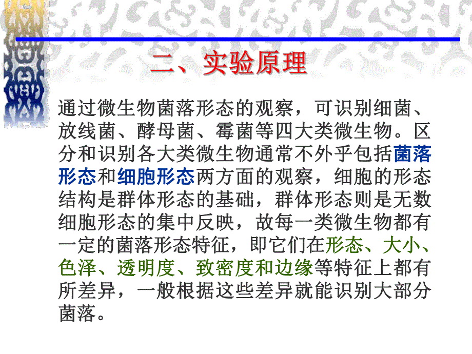 原核、真核微生物个体形态观察及四大类微生物菌落形态的识别.ppt_第3页