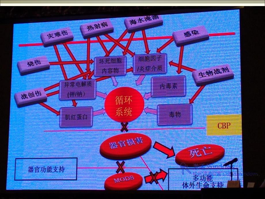 血液净化应知应会.ppt_第2页