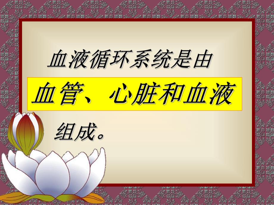 血液循环系统.ppt_第3页