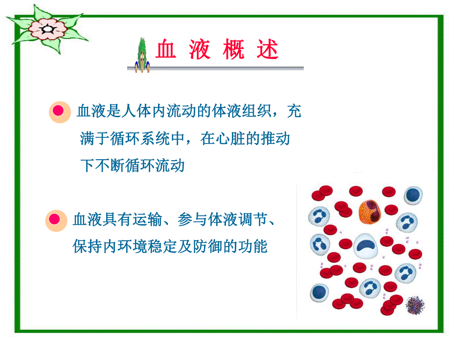 血液基础知识与相关疾病.ppt_第2页