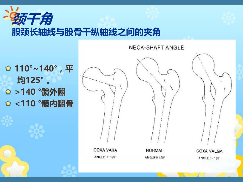 股骨颈骨折的康复.ppt_第3页