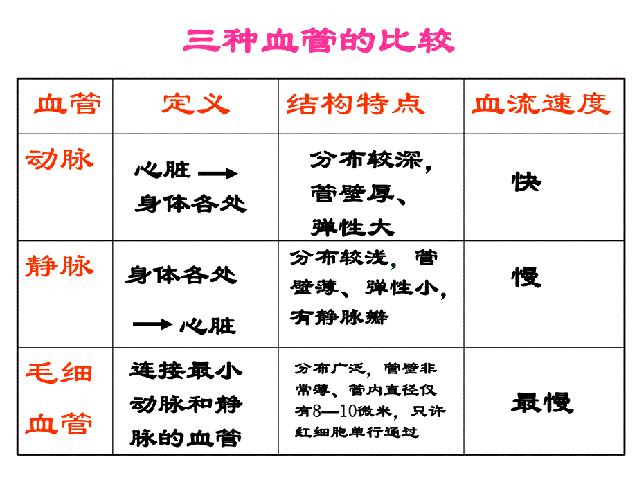 输送血液的泵心脏.ppt_第2页