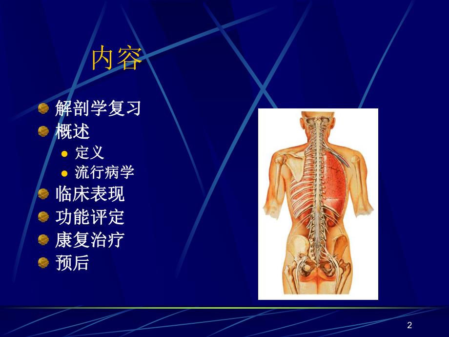 脊髓损伤的康复.ppt_第2页