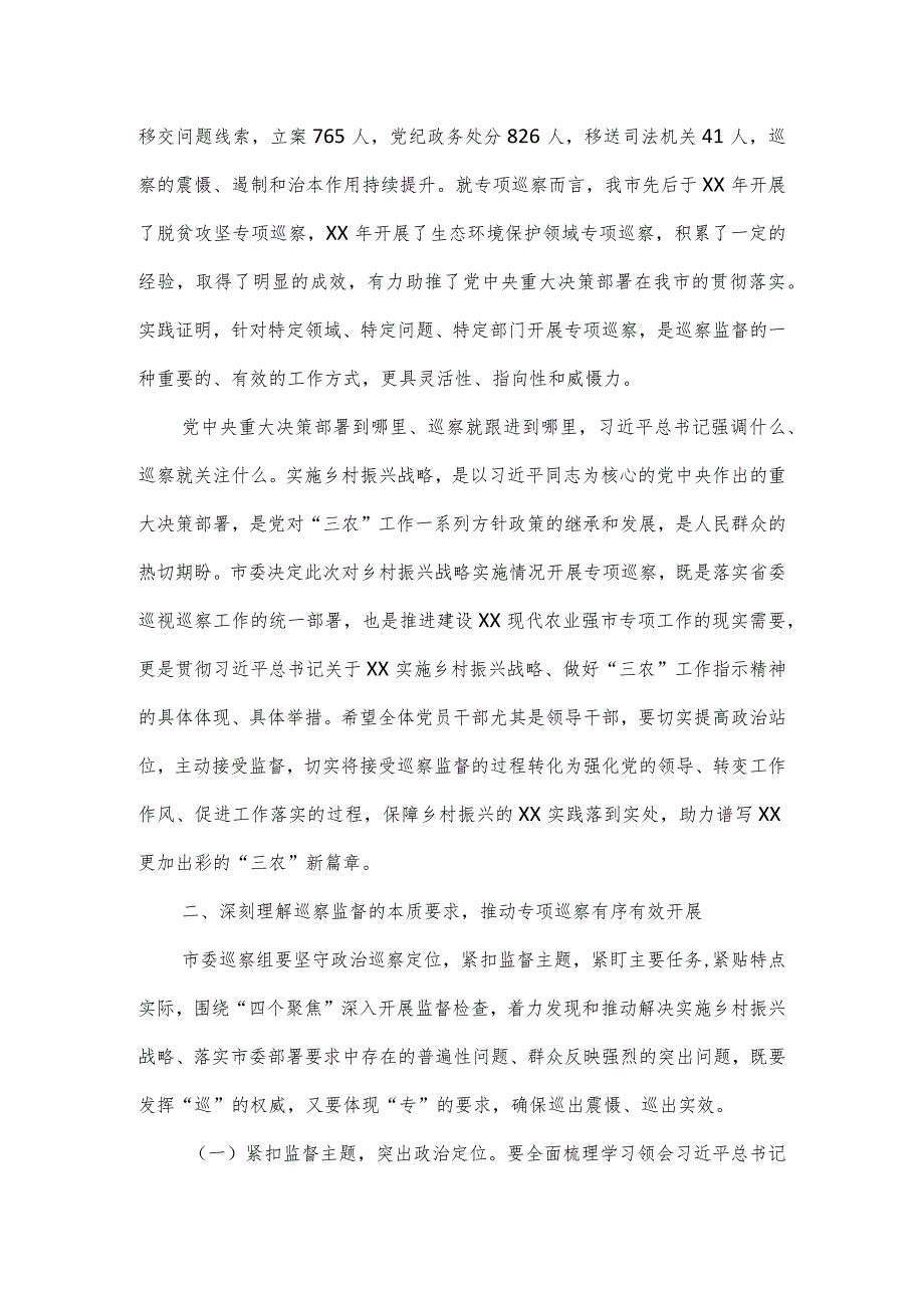 在实施乡村振兴战略专项巡察工作动员会上的讲话.docx_第2页