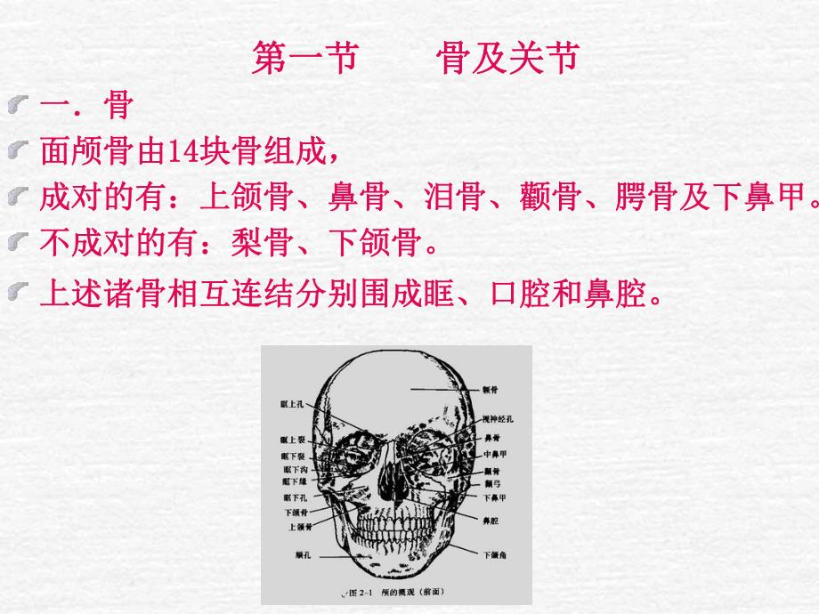 (口解)口腔、颌面部与颈部解剖1.ppt_第3页