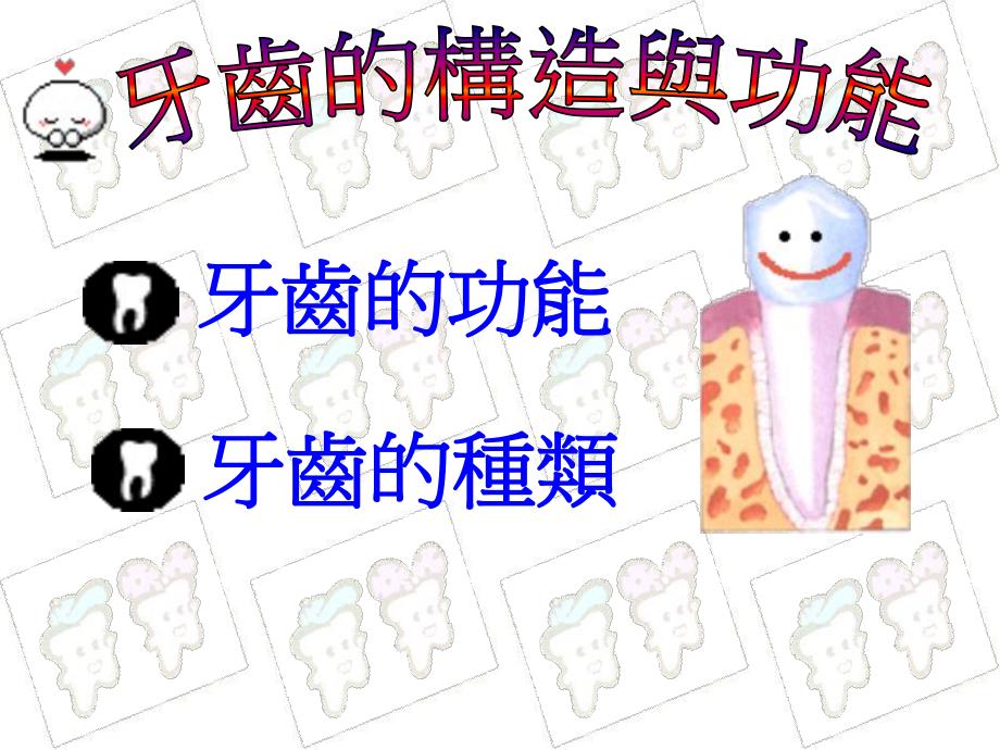 【中小学健康教育课件】认识牙齿与牙齿保健PPT.ppt_第2页