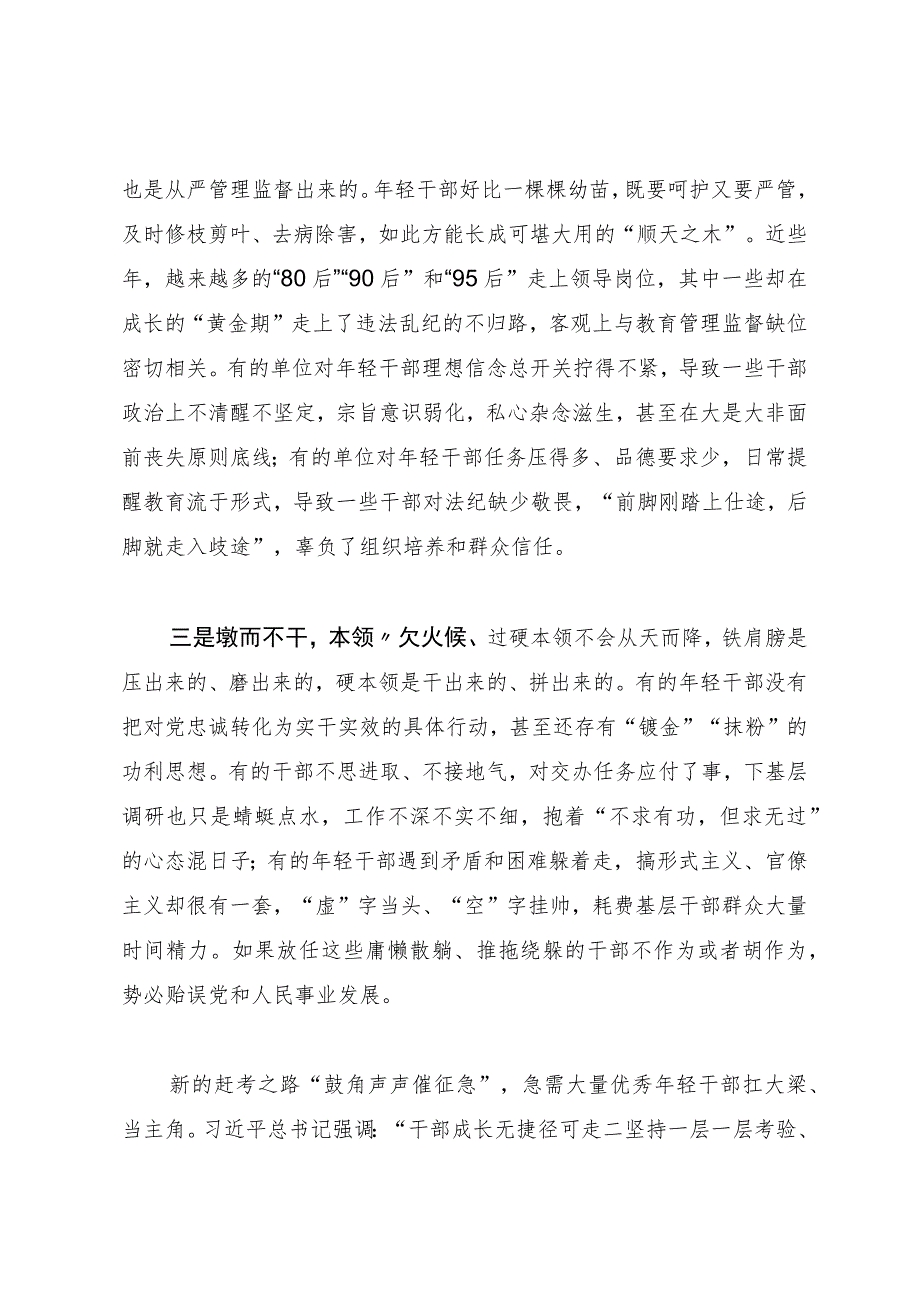 在年轻干部队伍建设专题研讨会上的发言.docx_第2页