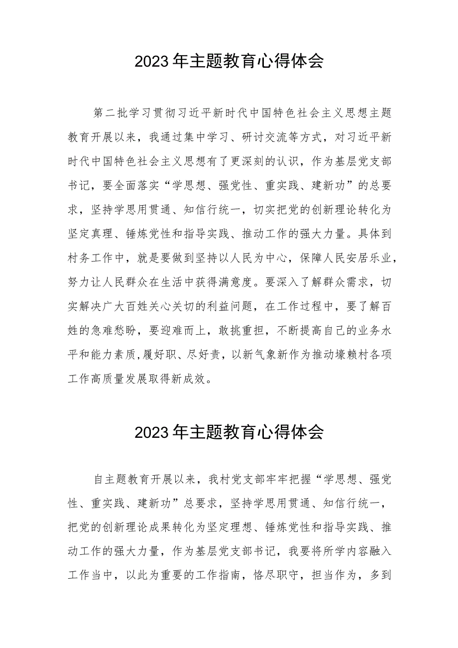 村党支部书记2023年主题教育心得体会(五篇).docx_第2页