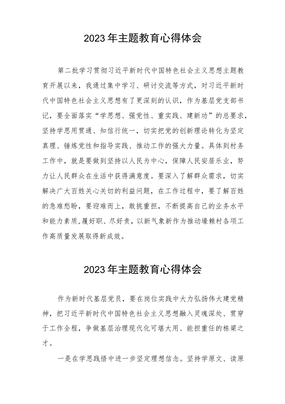 村长2023年第二批主题教育学习心得体会(五篇).docx_第2页