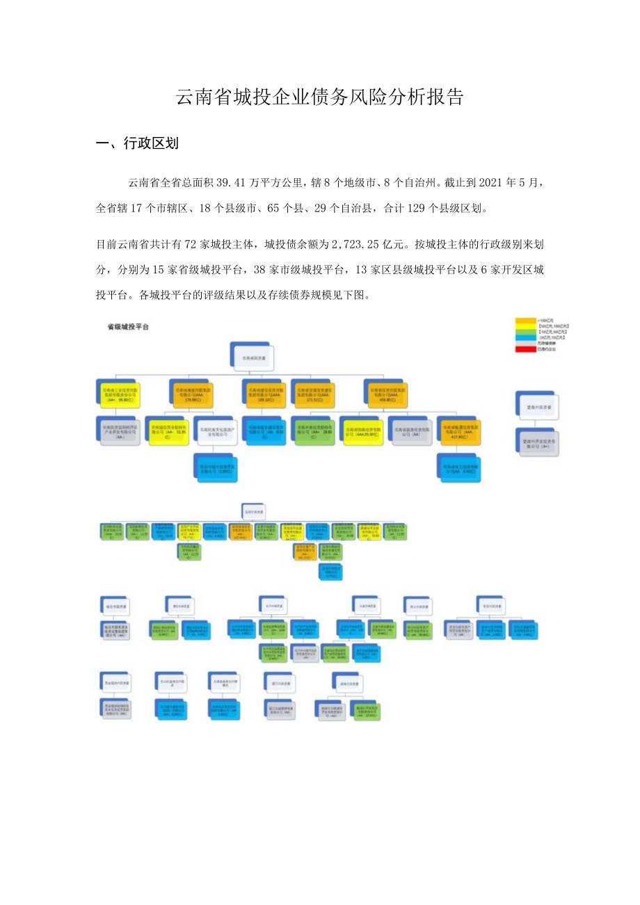 债务风险自评报告.docx_第1页