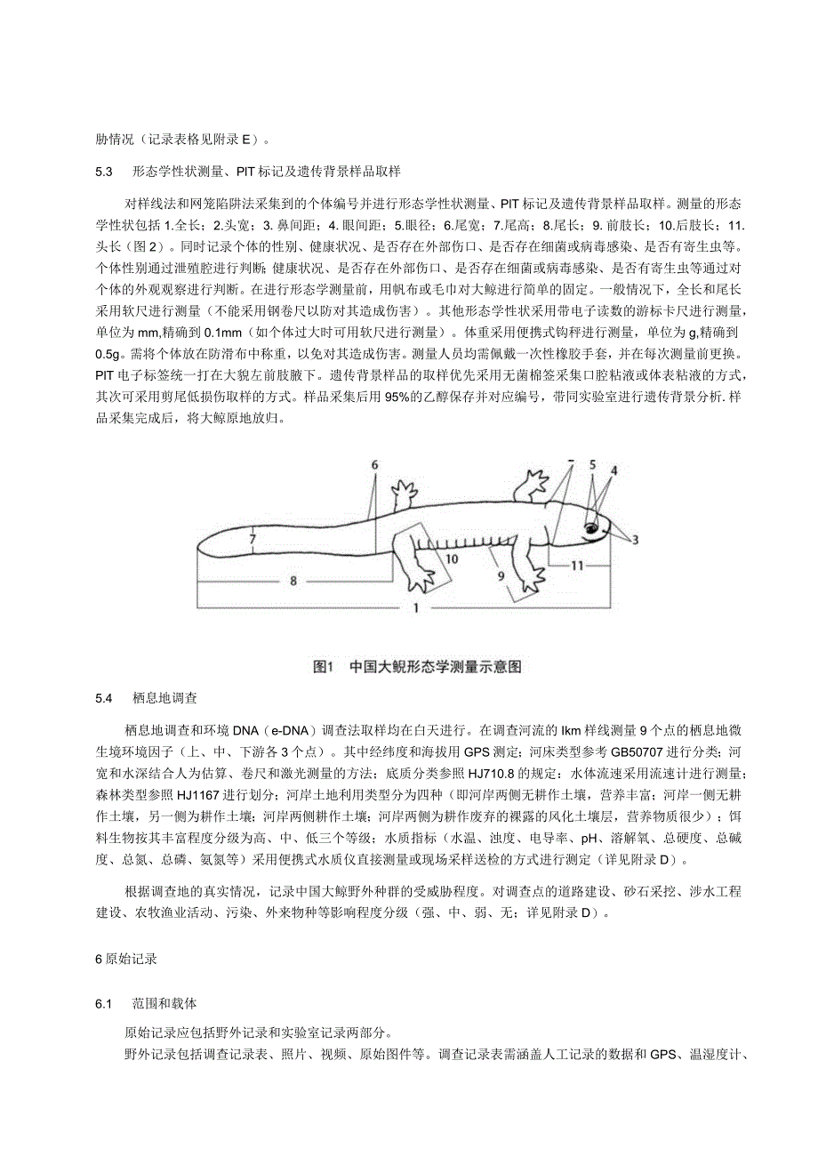 中国大鲵野外种群及栖息地调查技术规程.docx_第3页