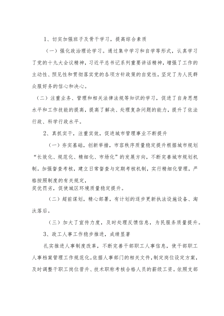 规划行政执法直属中队整体支出绩效评价报告.docx_第3页