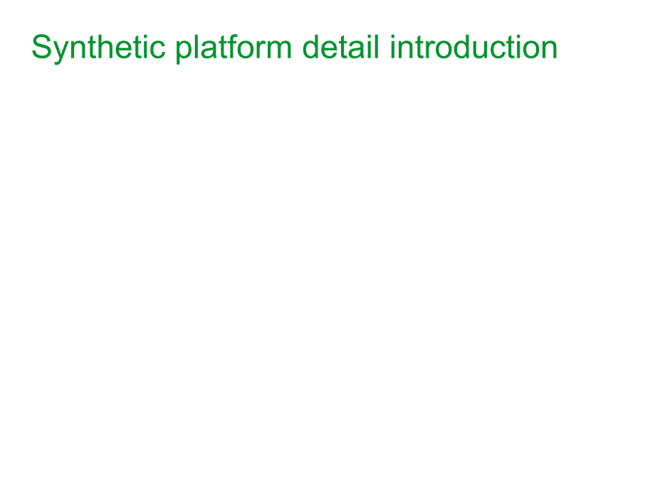 syntheticplatformdetailintroduction.ppt_第1页