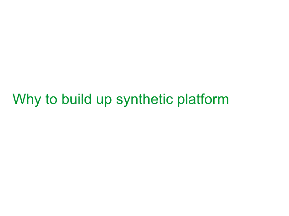 syntheticplatformdetailintroduction.ppt_第3页