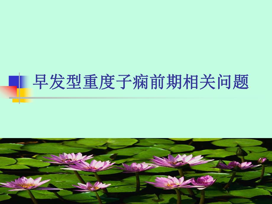 早发型重度子痫前期.ppt.ppt_第1页