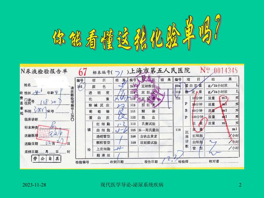 现代医学导论(泌尿系统).ppt_第2页