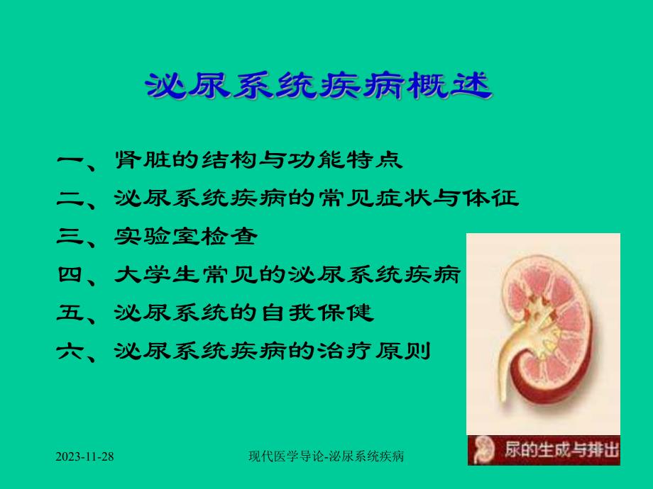 现代医学导论(泌尿系统).ppt_第3页